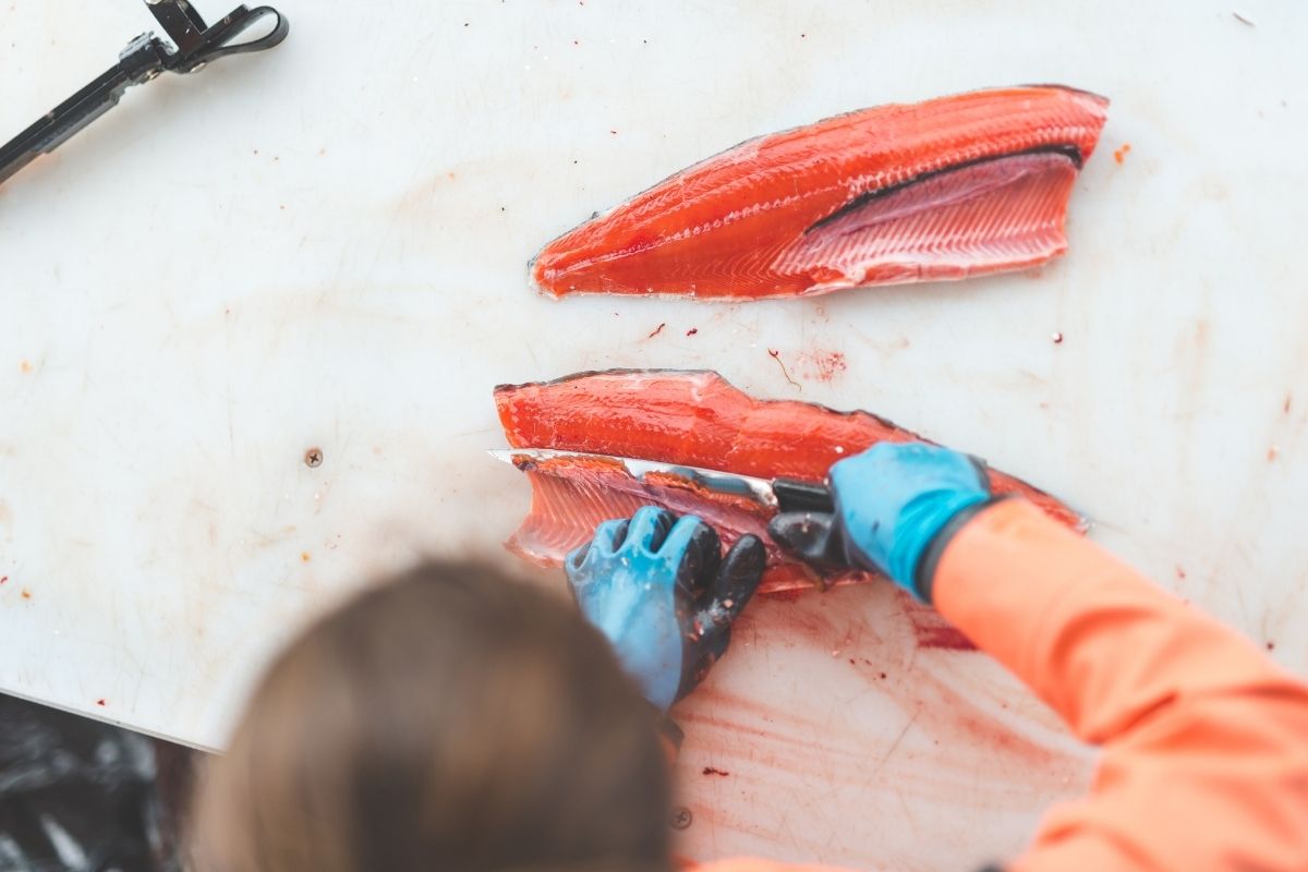 The Ultimate Guide Buying a Fish Cleaning Table – With Recommendations