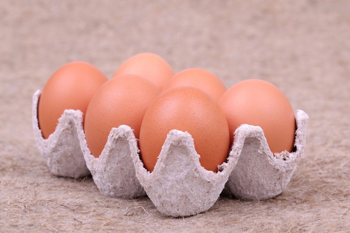 Are egg cartons recyclable?