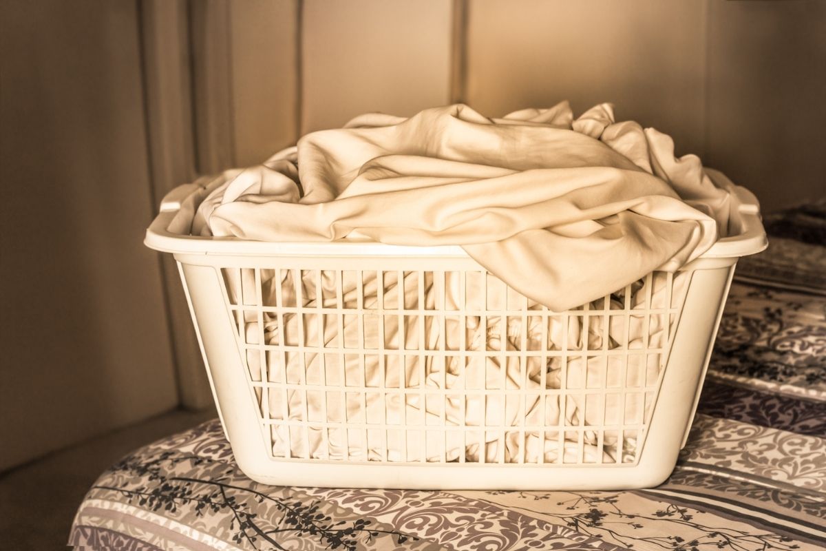Top 19 Best Rubbermaid Laundry Basket in 2021
